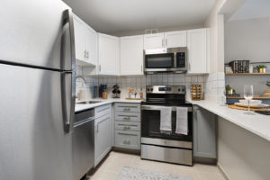 arrive-streeterville-apartment-homes-for-rent-chicago-il-60611-kitchen (3)